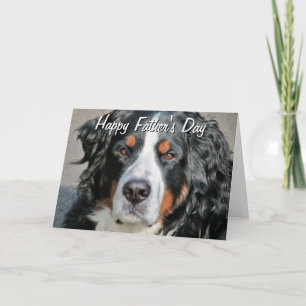 Bernese Mountain Dog Photo Image Happy Father's Da Card