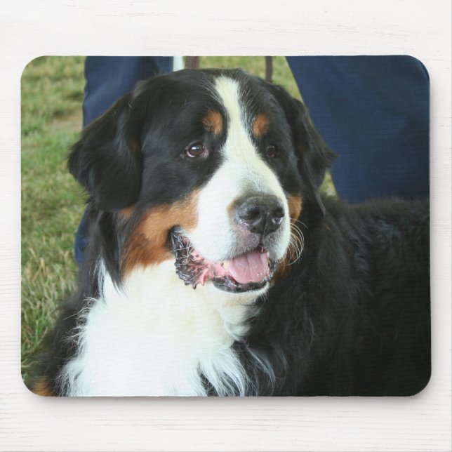 Bernese Mountain Dog Photo Mouse Mat (Front)