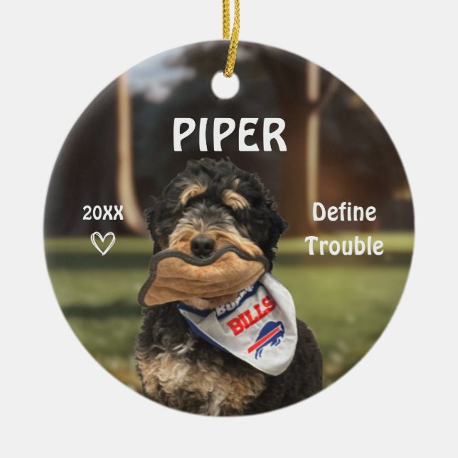 Bernese Mountain Dog Photo Ornament (Front)