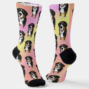 Bernese Mountain Dog Pink Galaxy Socks