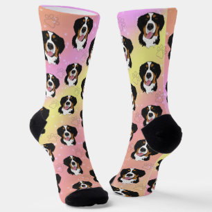 Bernese Mountain Dog Pink Yellow Orange Socks