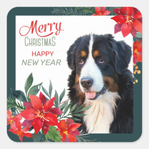Bernese Mountain Dog Poinsettia Bouquet Christmas Square Sticker