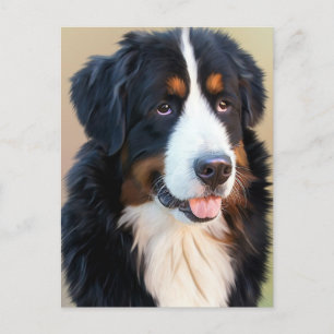 Bernese Mountain Dog Portrait Postcard