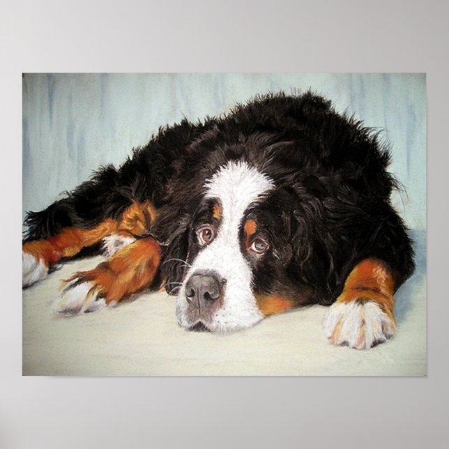 Bernese Mountain Dog Portrait Poster Print (Front)