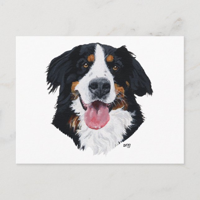 Bernese Mountain Dog Postcard (Front)