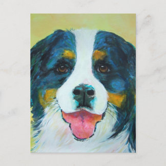 Bernese Mountain Dog Postcard