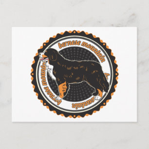 Bernese Mountain Dog Postcard