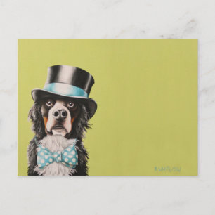 Bernese Mountain Dog Postcard - Toben