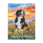 Bernese Mountain Dog Postcrossing - Postcard