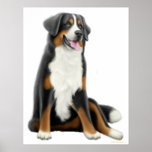 Bernese Mountain Dog Print