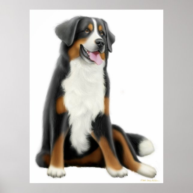 Bernese Mountain Dog Print (Front)