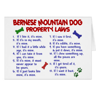 BERNESE MOUNTAIN DOG Property Laws 2