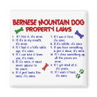 BERNESE MOUNTAIN DOG Property Laws 2