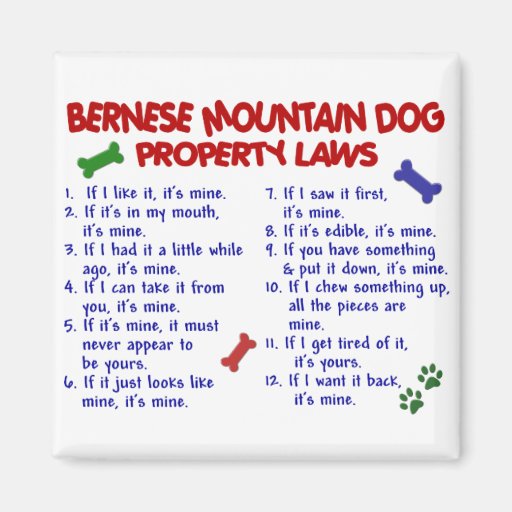 Image of BERNESE MOUNTAIN DOG Property Laws 2 Magnet