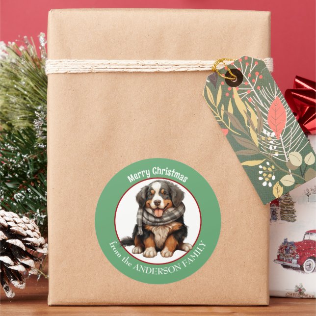 Bernese Mountain Dog Pup in Winter Scarf Christmas Classic Round Sticker (Holiday)