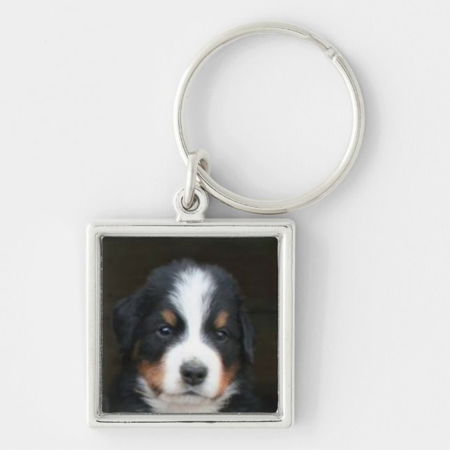 Bernese mountain dog pup keychain (Front)