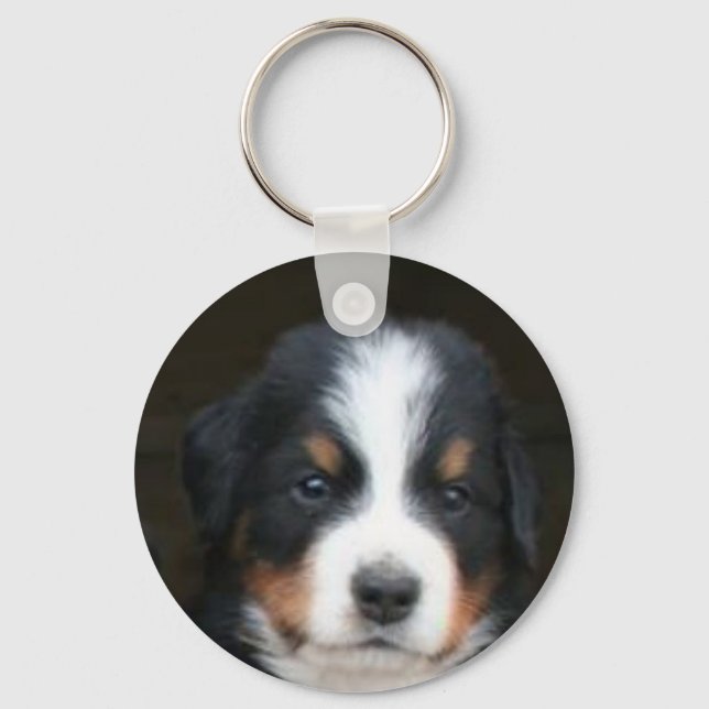 Bernese mountain dog pup keychain (Front)