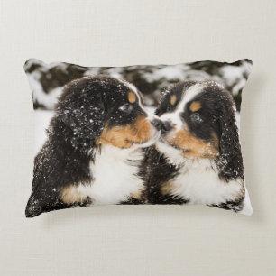 Bernese Mountain Dog Puppets Sniff Each Other Decorative Cushion