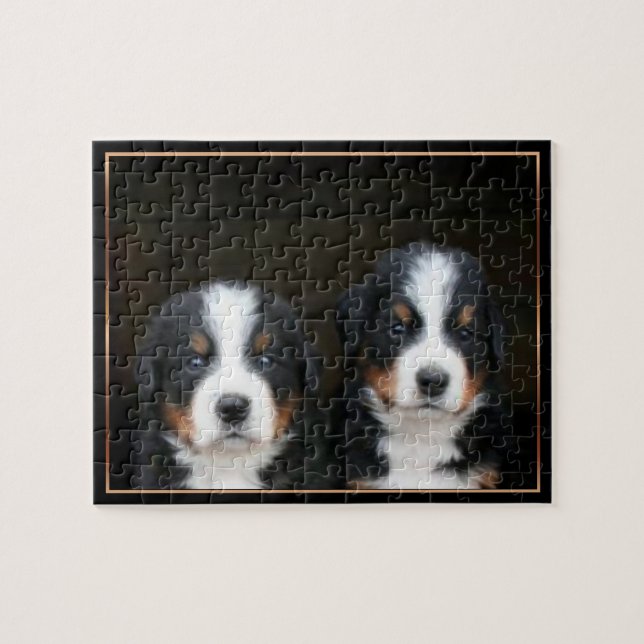 Bernese mountain dog  puppies puzzle (Horizontal)