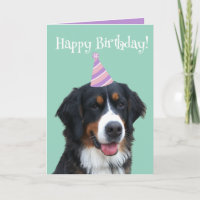 Bernese Mountain Dog Puppy Birthday