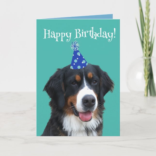 Bernese Mountain Dog Puppy Birthday Card (Front)