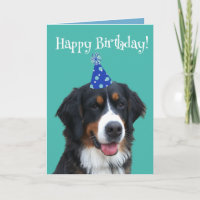 Bernese Mountain Dog Puppy Birthday
