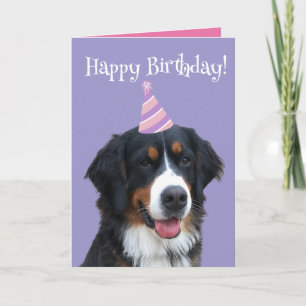 Bernese Mountain Dog Puppy Birthday Card
