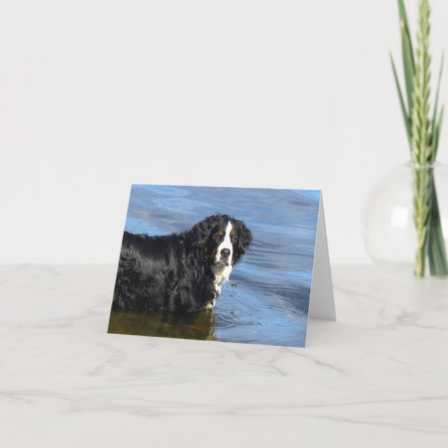 Bernese Mountain Dog Puppy Dog Note Card (Front)