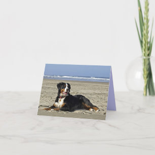 Bernese Mountain Dog Puppy Dog Note Card