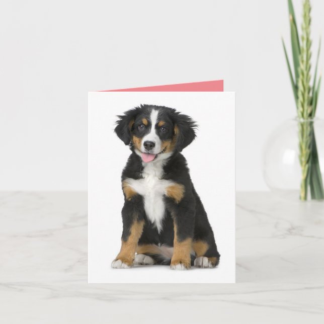 Bernese Mountain Dog Puppy Dog Note Card (Front)