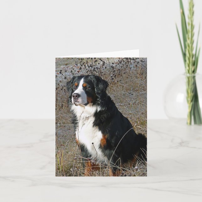 Bernese Mountain Dog Puppy Dog Note Card (Front)
