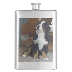 bernese mountain dog puppy hip flask