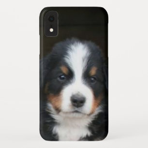 Bernese Mountain Dog Puppy iphone Xr Speck Case