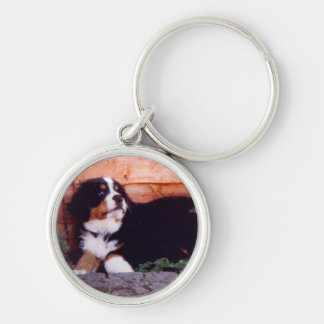 Bernese mountain dog puppy keychain