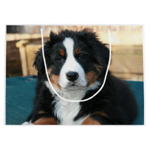 bernese mountain dog puppy large gift bag