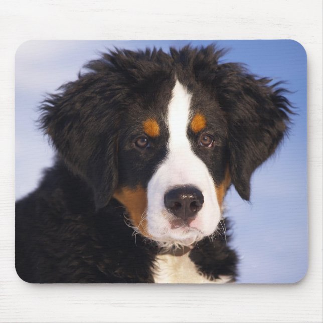 Bernese Mountain Dog Puppy Mouse Mat (Front)