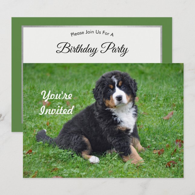 Bernese Mountain Dog Puppy Photo Birthday Invitation (Front/Back)