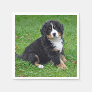 Bernese Mountain Dog Puppy Photo Napkin