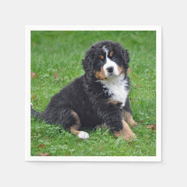 Bernese Mountain Dog Puppy Photo Napkin (Front)