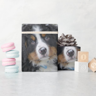 Bernese Mountain Dog Puppy Second Wrapping Paper