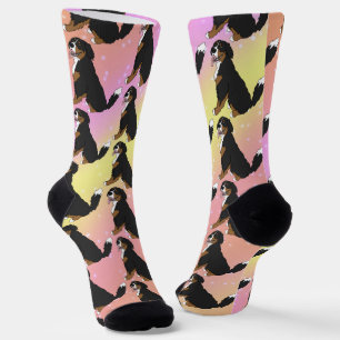 Bernese Mountain Dog  Puppy  Socks