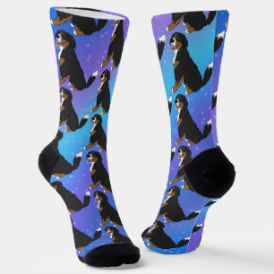 Bernese Mountain Dog  Puppy  Socks