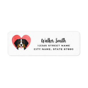 Bernese Mountain Dog Return Address Labels