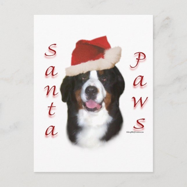 Bernese Mountain Dog Santa Paws Holiday Postcard (Front)