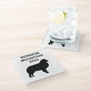 bernese mountain dog silhouette with name glass coaster