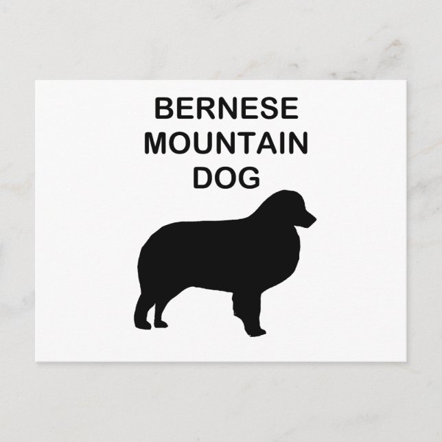 bernese mountain dog silhouette with name postcard (Front)