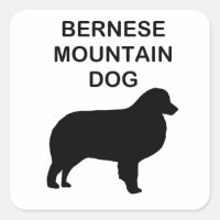 bernese mountain dog silhouette with name