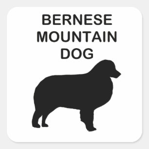 bernese mountain dog silhouette with name square sticker