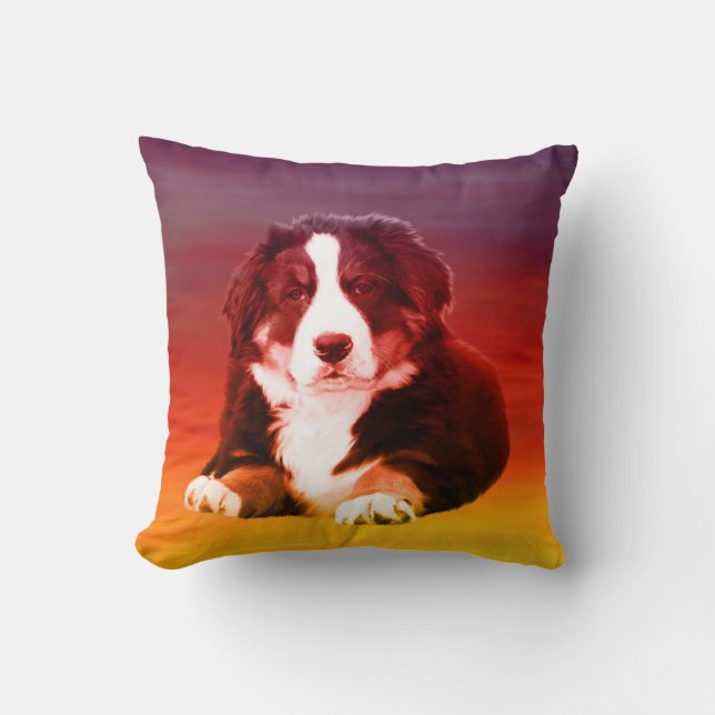 Bernese Mountain Dog Sitting on Beach Cushion (Front)
