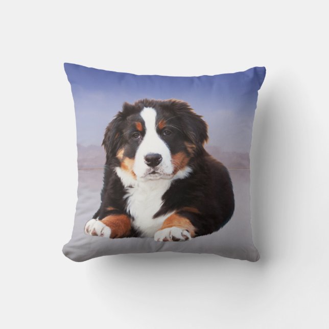 Bernese Mountain Dog Sitting on Beach Cushion (Front)